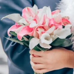 Calla - Pastel Collection