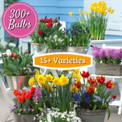 Flower Bulb Adventure Pack 300+ Bulbs