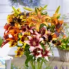 Lilium - Ready To Tango Collection