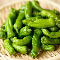 Pepper - Shishito 2 Pack