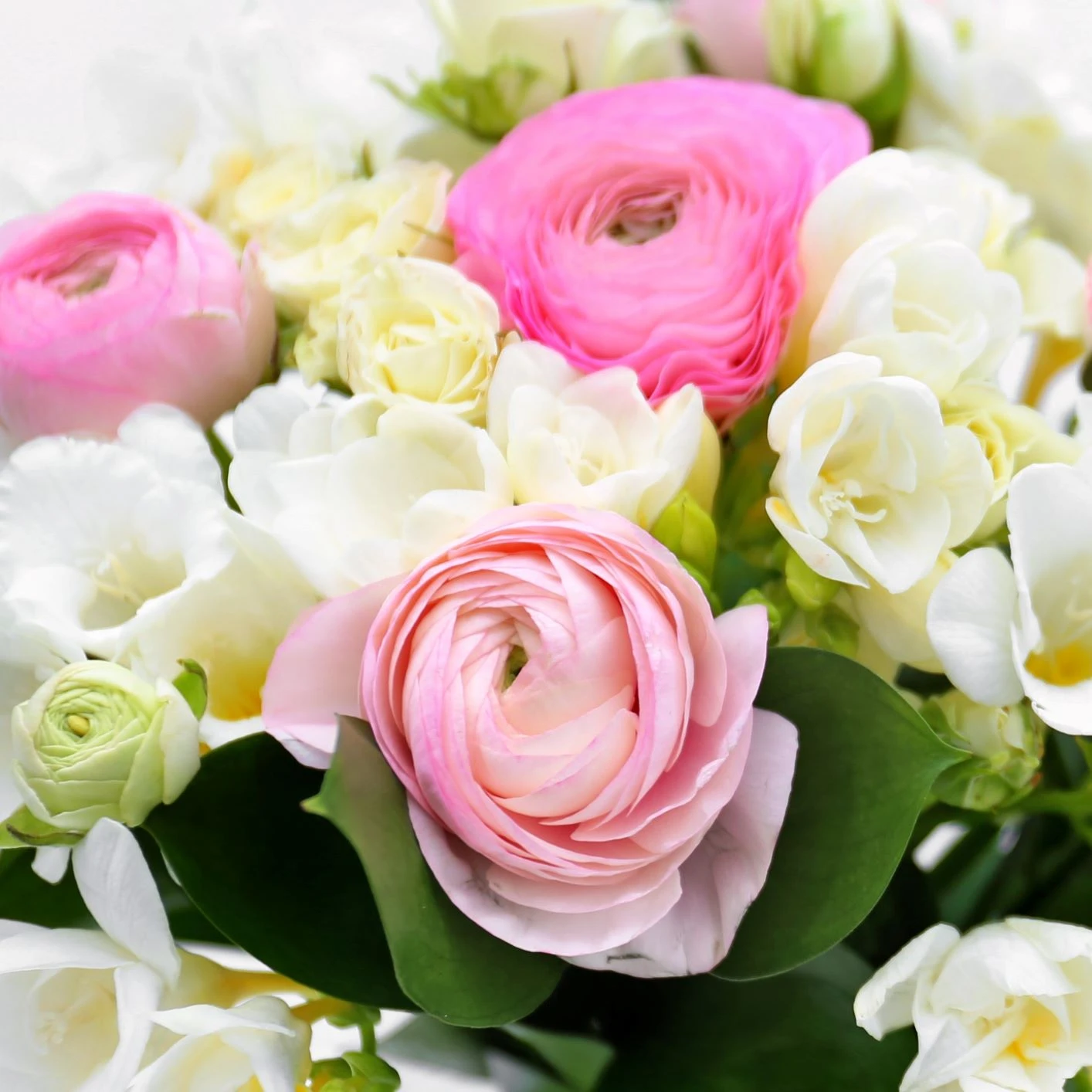 Freesia & Ranunculus - Pastel Blend - Image 2