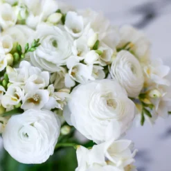Freesia & Ranunculus - White Clouds Blend