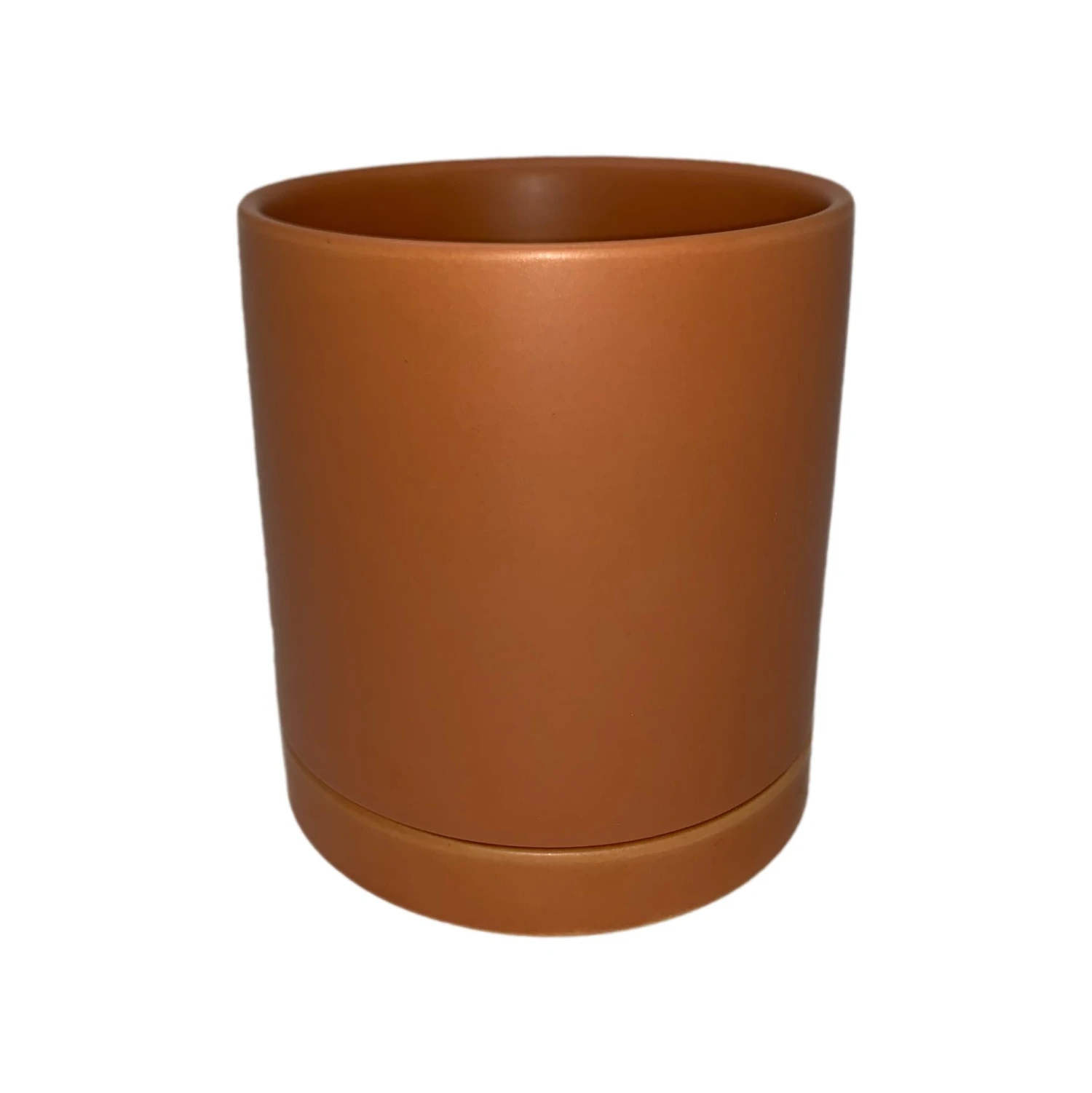 Croton - Mammy Houseplant - Image 7