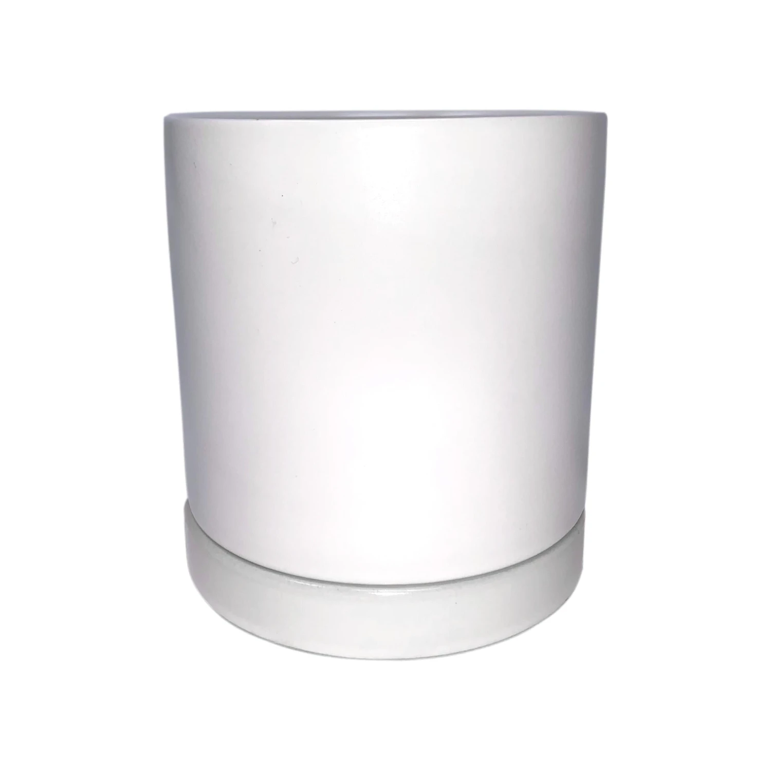 Anthurium - Red Houseplant - Image 3