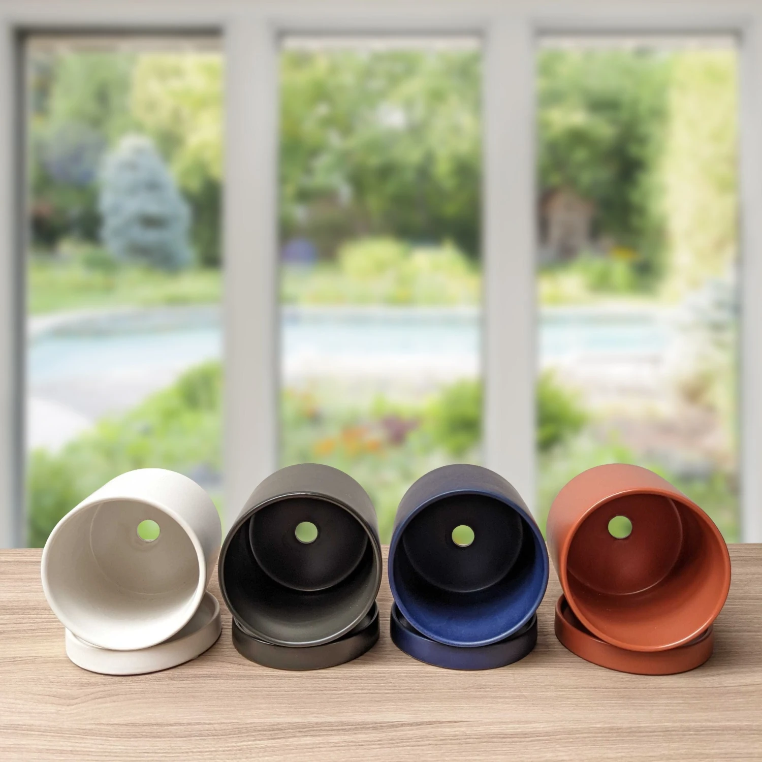 Croton - Mammy Houseplant - Image 3